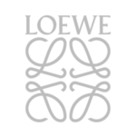 Loewe Signal Security